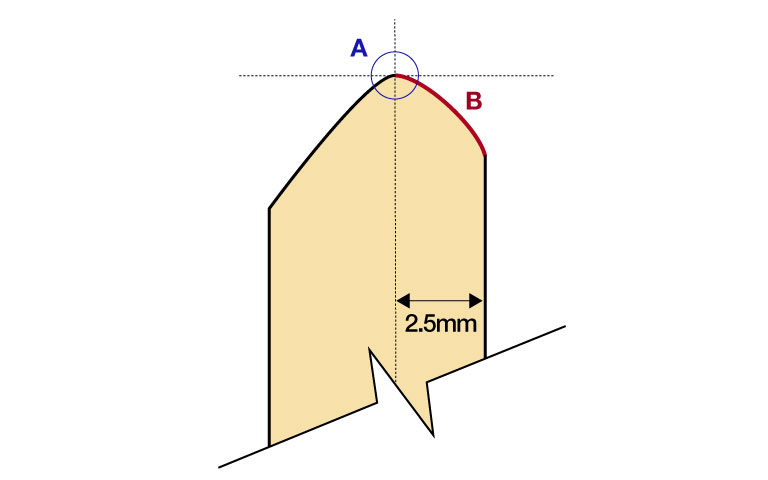 Tama bearing edge profile: peak 2.5mm inside the outer surface, round collar