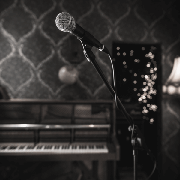 Shure SM58S With Switch Microphone - product image