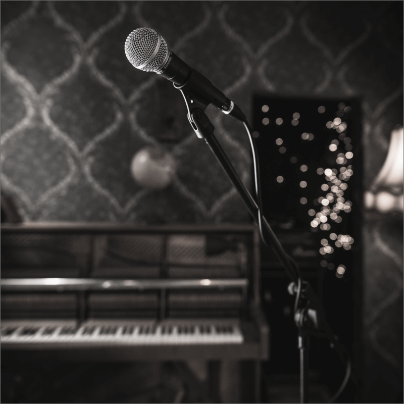 Shure SM58S With Switch Microphone - product image