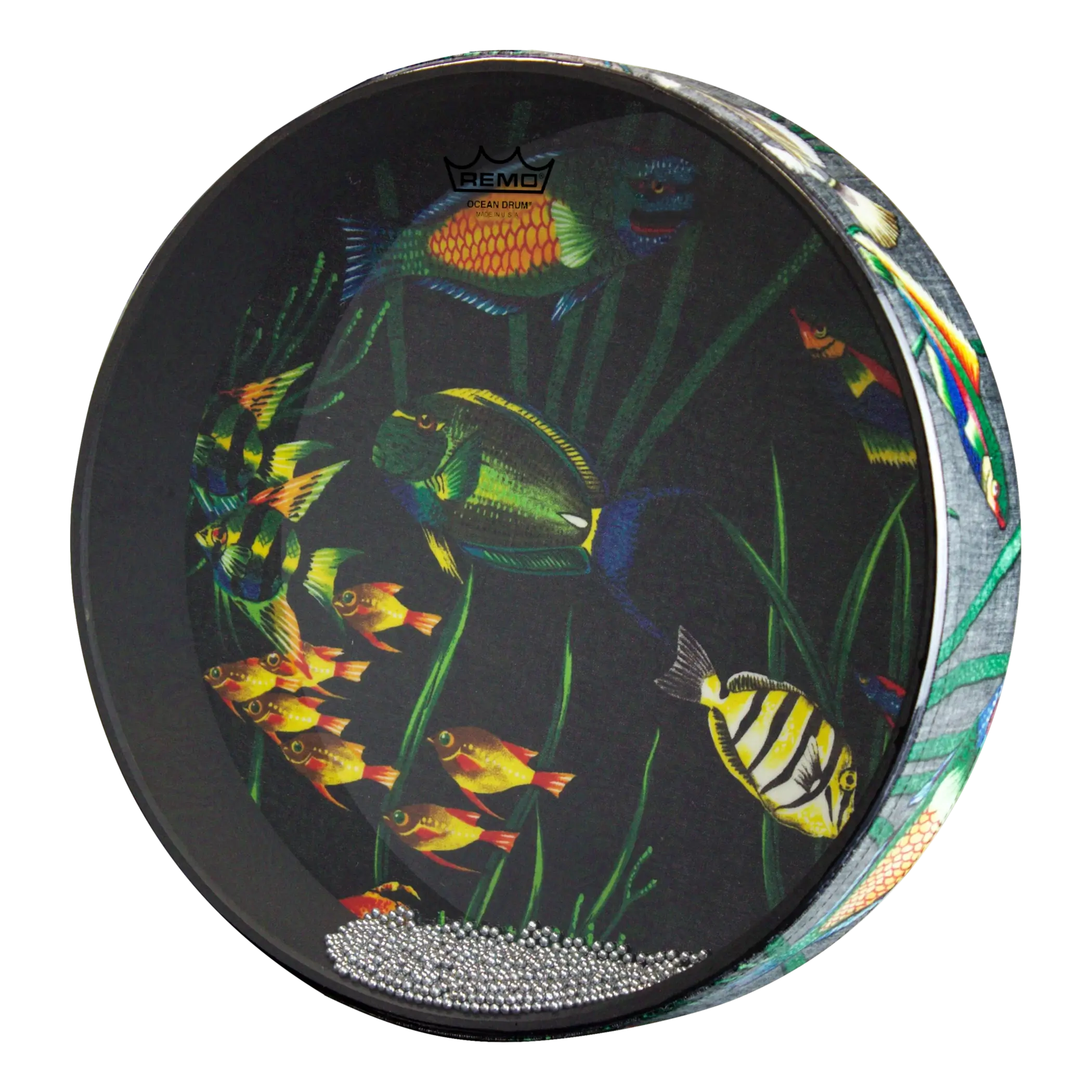 Remo Fish Graphic Ocean Drum 16" - product image
