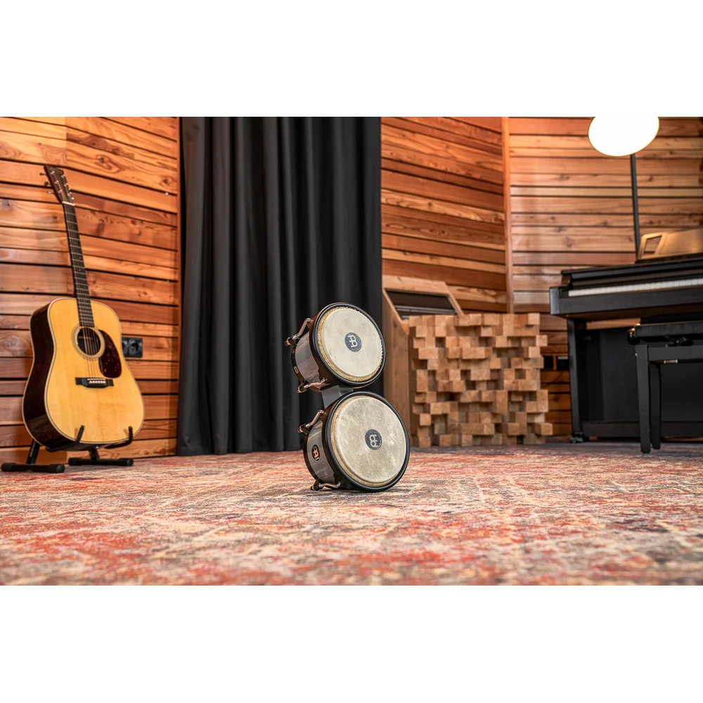 Meinl Journey Series Ultimate Gray Molded Abs Bongo - product image