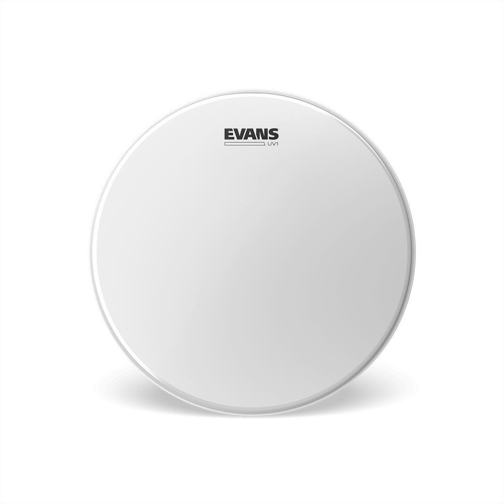 Evans B16UV1 Coated 16" Drumhead - product image