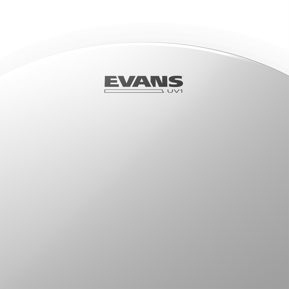 Evans B16UV1 Coated 16" Drumhead - product image