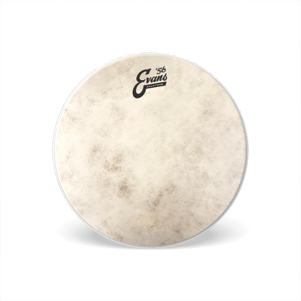 Evans TT10C7 Calftone 10" Drumhead - product image