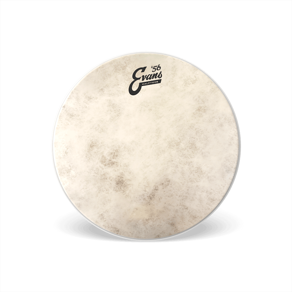 Evans TT12C7 Calftone 12" Tom Batter Drumhead - product image