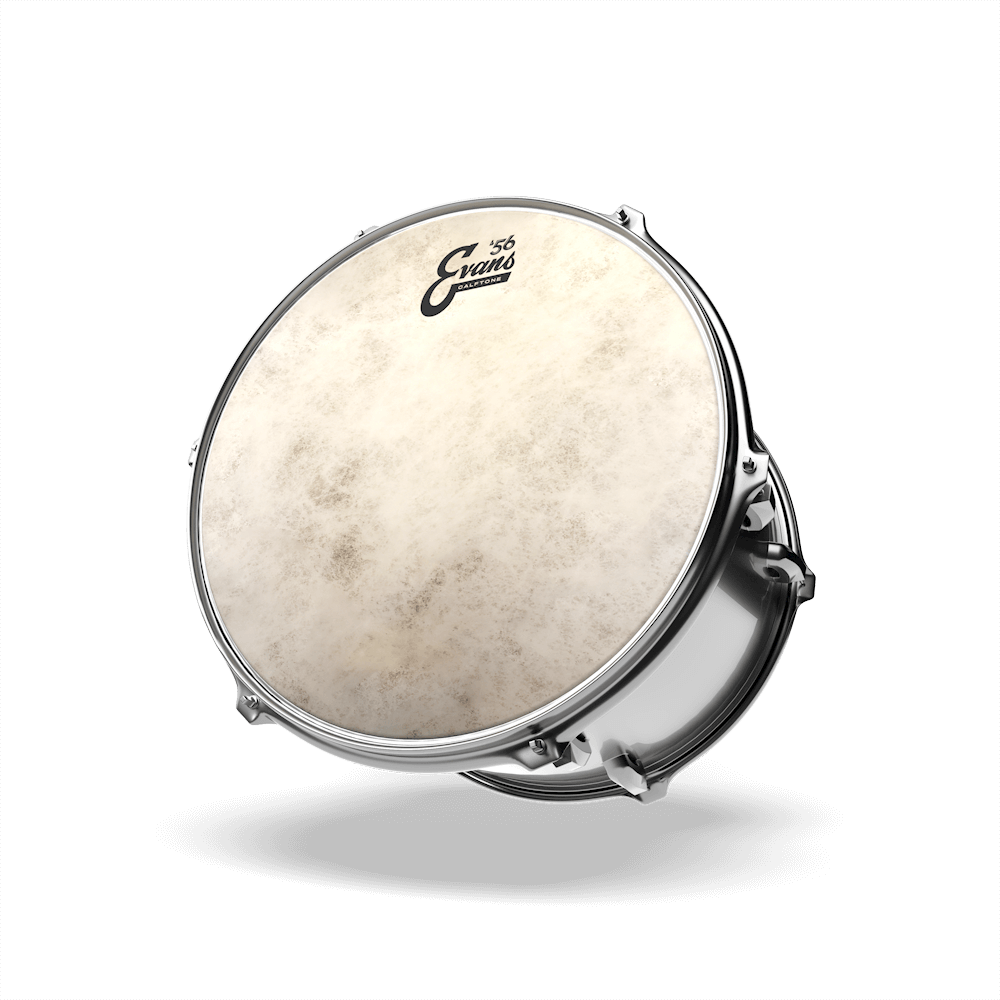 Evans TT14C7 Calftone 14" Tom Batter Drumhead - product image