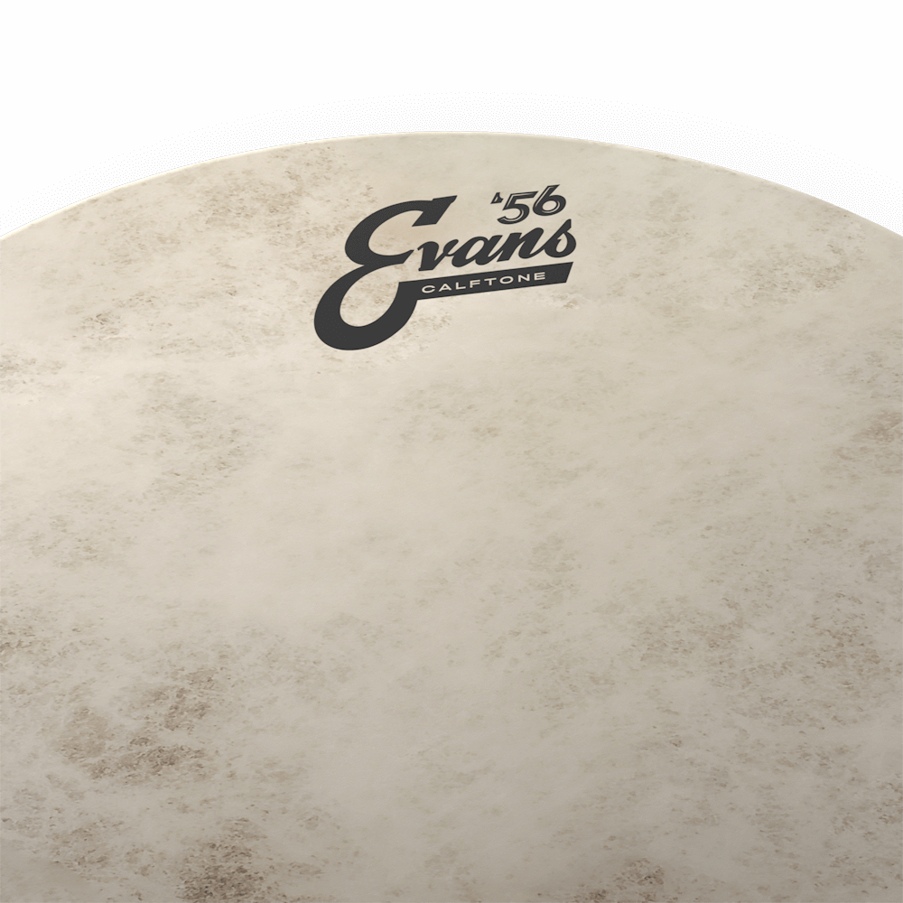 Evans TT14C7 Calftone 14" Tom Batter Drumhead - product image
