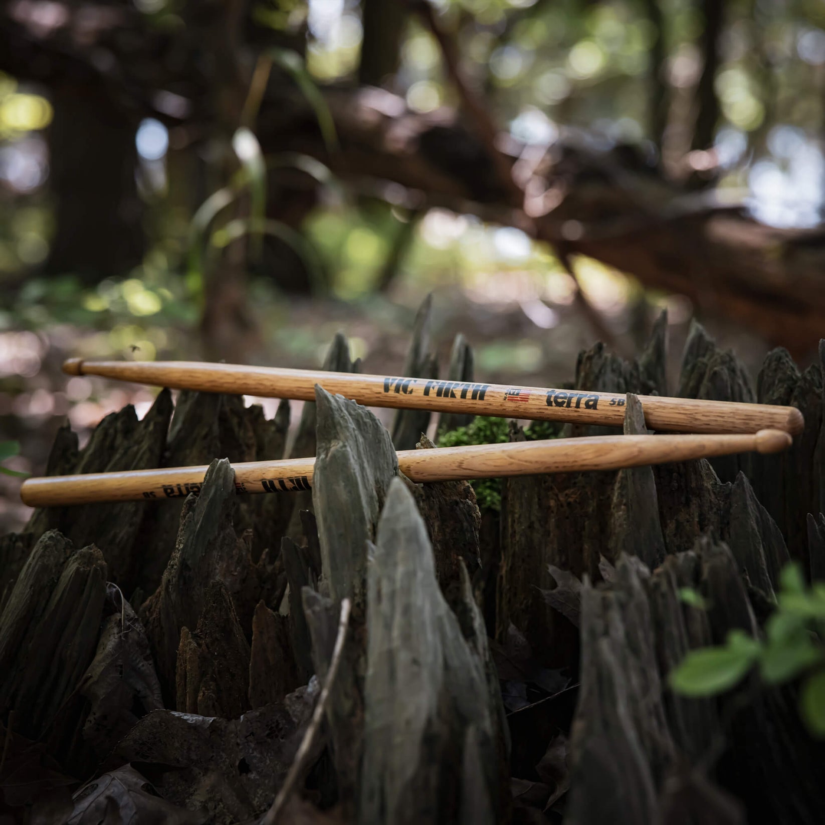Vic Firth Terra 5B drumsticks